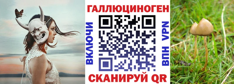 Псилоцибиновые грибы Magic Shrooms  Купить закладки  Ишим 