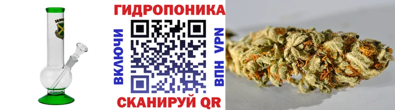 Купить где  Ишим  Бошки марихуана гибрид 